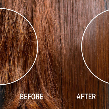 HYDRAMEND Vegan Hair Oil for Intense Hydration & Repair - SNOBGIRLS.com