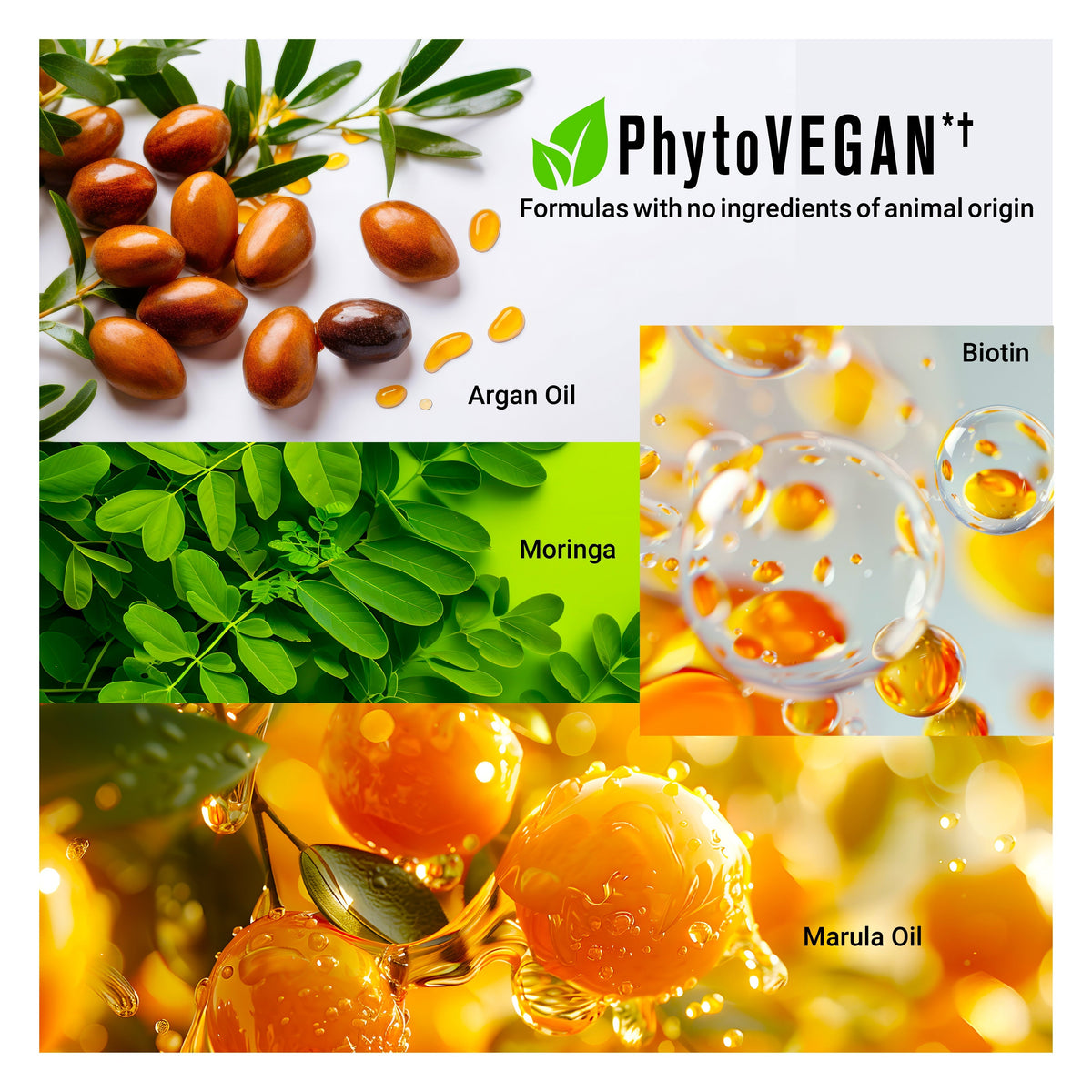 Ingredients of BODYDENSE Vegan Hair Oil including Argan Oil, Moringa, Biotin, and Marula Oil for hair care