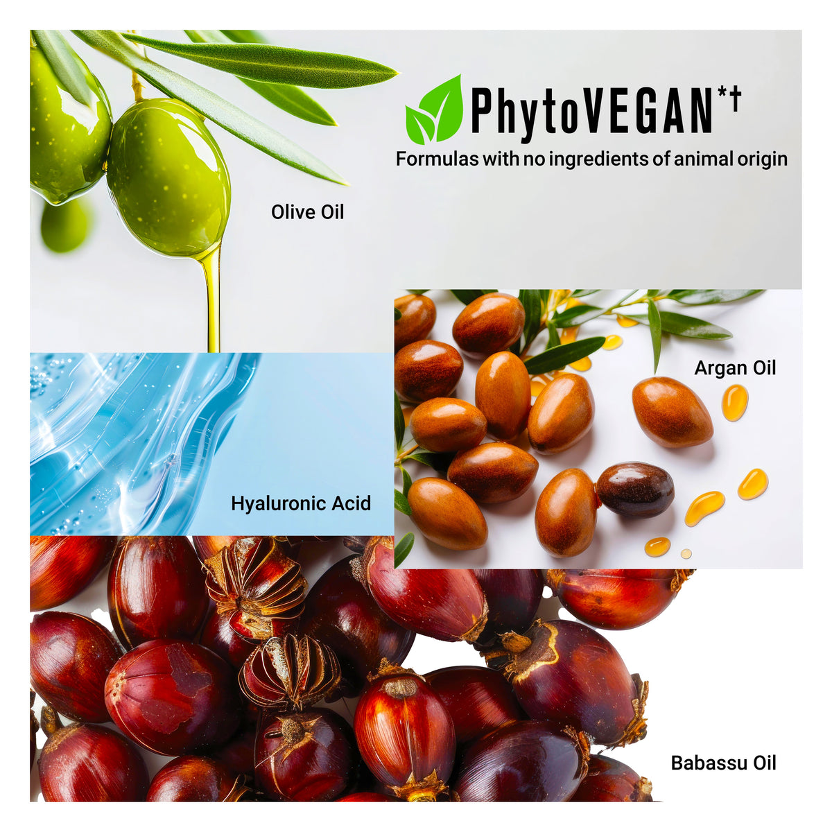 Vegan Hair Oil ingredients including olive oil, argan oil, hyaluronic acid, and babassu oil for nourishing hair