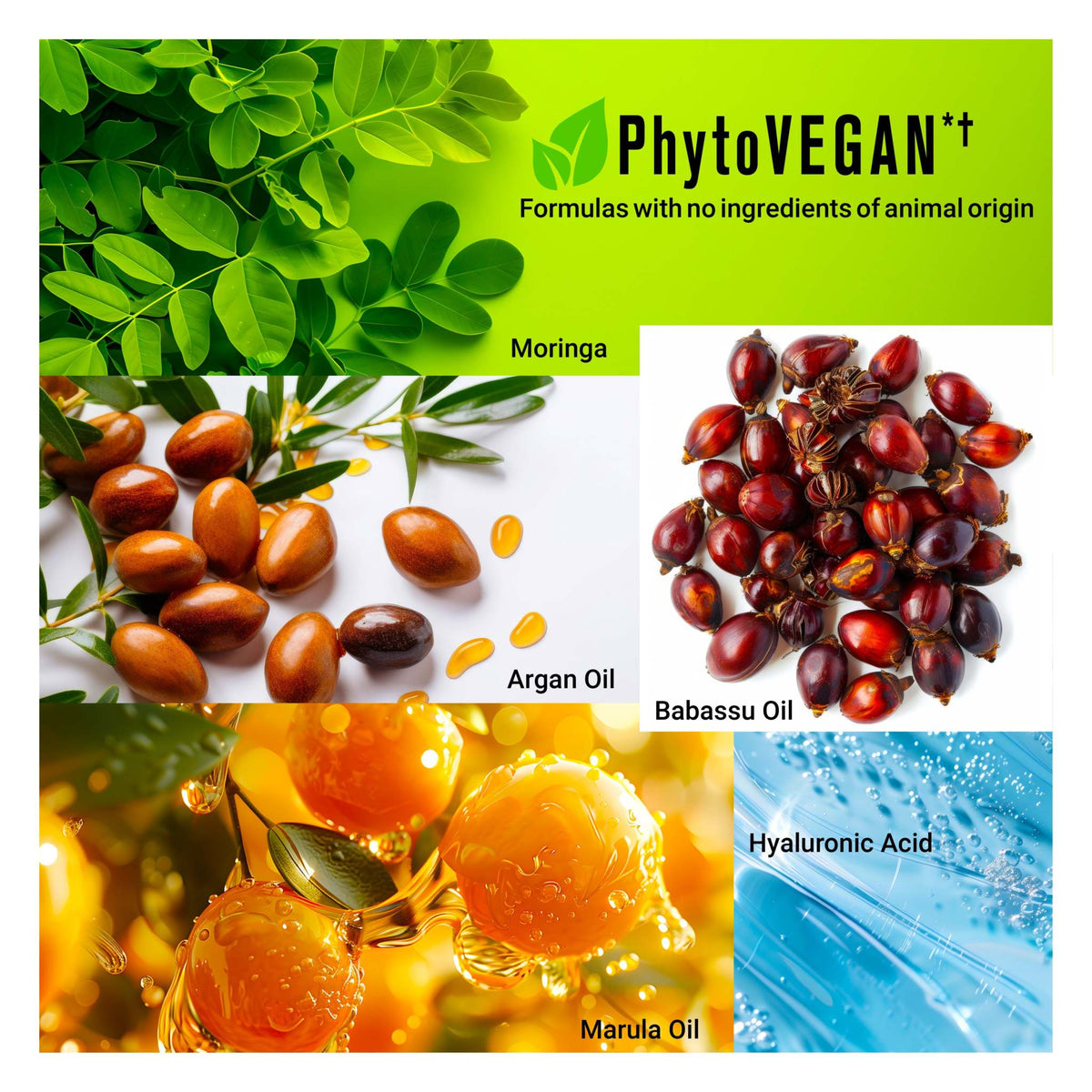 HYDRAMEND Vegan Hair Oil capsules for intense hydration and repair of dry, color-treated hair