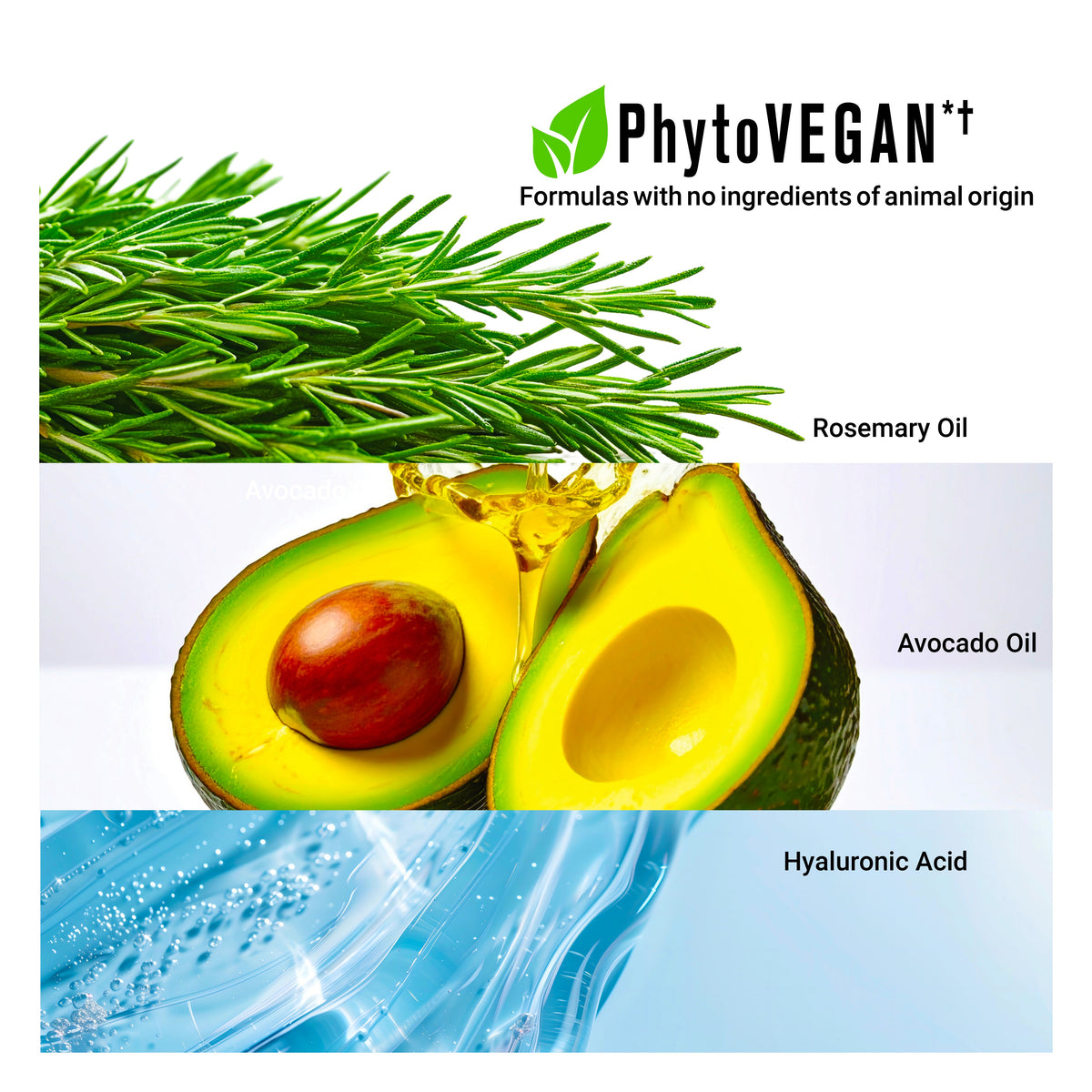 Vegan hair oil with rosemary, avocado oils, and hyaluronic acid for nourishing and shine