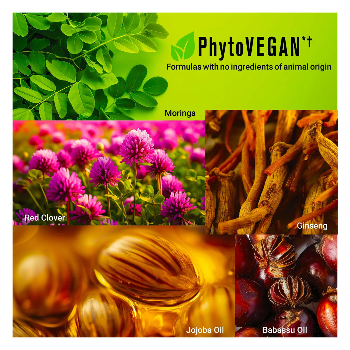 NORMADENSE Vegan Hair Oil capsules for fuller, denser, and stronger normal to thin-looking hair