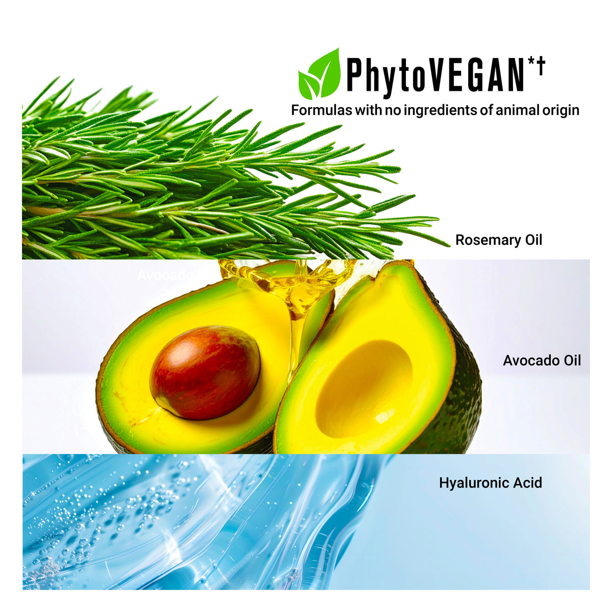 PROCURE Vegan Hair Oil with rosemary, avocado oils and hyaluronic acid for nourishing and protecting color-treated hair