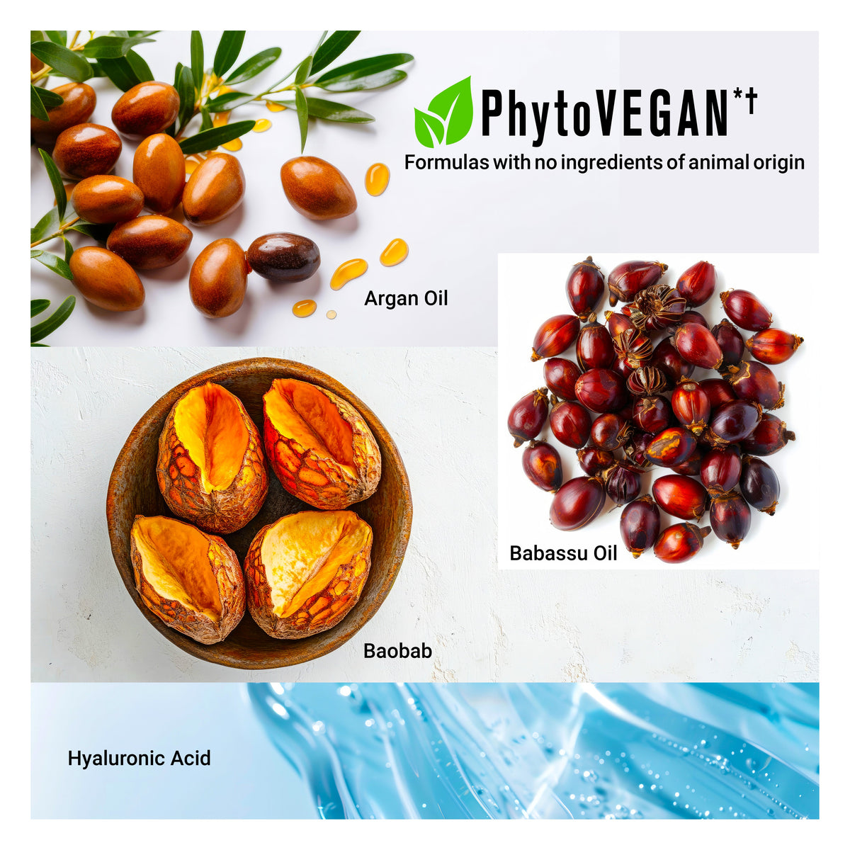 Objects of argan oil, babassu oil, baobab fruit, and hyaluronic acid depicting ingredients of STRONGFORCE Vegan Hair Oil for strength repair and split-end seal