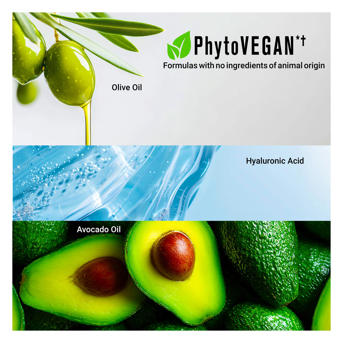 Vegan Hair Oil with olive oil, hyaluronic acid, and avocado for curls and frizzy hair care