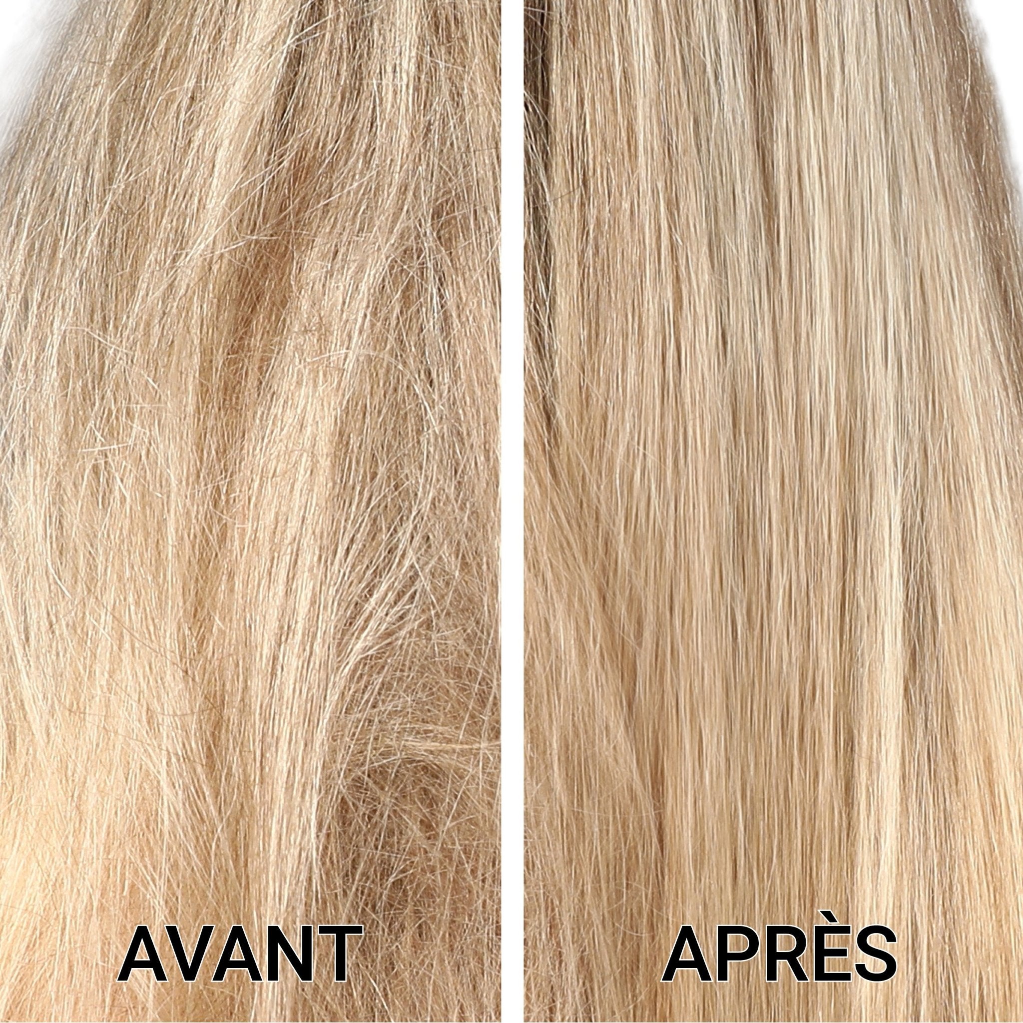 LUMIERE - COLOUR Perfect Colour & Shine Hair Oil - SNOBGIRLS.com