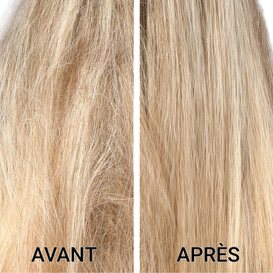 LUMIERE - COLOUR Perfect Colour & Shine Hair Oil - SNOBGIRLS.com