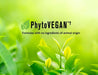 BODYDENSE Prowash Vegan Hair Shampoo & Pump - SNOBGIRLS.com