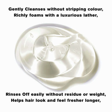 BODYDENSE Shampoo Conditioner DUO LITERS - SNOBGIRLS.com