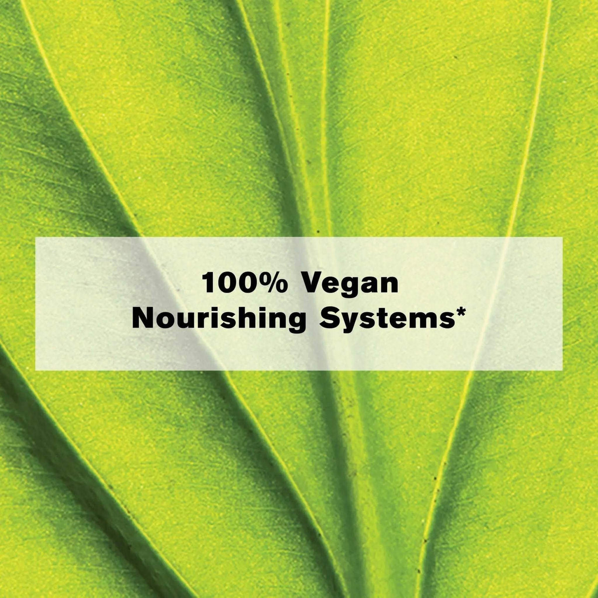 CURALIGN VITAL PRECIOUS OILS - 45 CAPSULES PhytoVEGAN Super Concentrated Intensive Leave-In Hair Oil - SNOBGIRLS.com