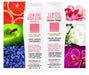 LUMIERE HIGHCURE Shampoo Conditioner Duo LITERS - SNOBGIRLS.com