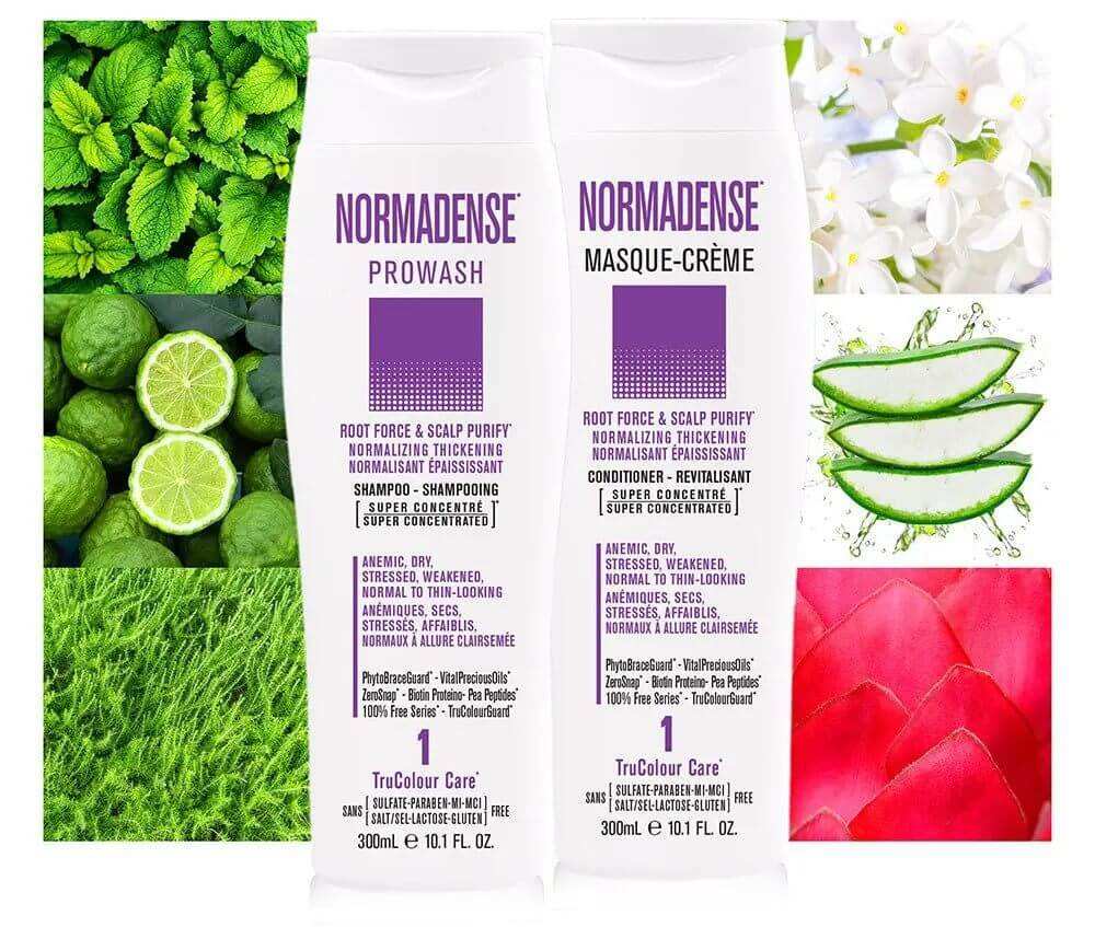 NORMADENSE 1 Shampoo and Conditioner duo for normalizing, thickening, and purifying scalp and hair with vegan nourishing systems